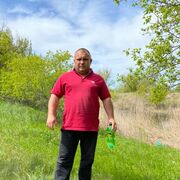 ���������� ���������, ���� ������� �������, 50 ���, ������������ ��� c�������� ���������