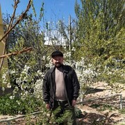  ,   , 53 ,     , c 