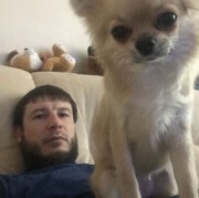  ,   , 37 ,   ,   