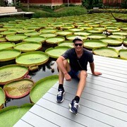 ���������� �����������, ���� ������� ������, 36 ���, ������������ ��� ������, ����� � ���������, c�������� ���������, ���������