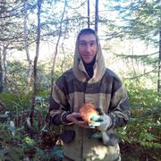 ���������� ����-���������, ���� ������� �����, 37 ���, ������������ ��� c�������� ���������