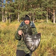 ���������� ����������, ���� ������� ����, 39 ���, ������������ ��� ������, ����� � ���������, c�������� ���������, ���������