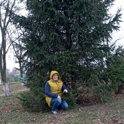   ,   , 46 ,     , 