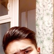  ,   LION, 28 ,   ,   , c 