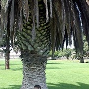 ���������� �����������, ���� ������� Konstantin, 59 ���, ������������ ��� ������, ����� � ���������, c�������� ���������