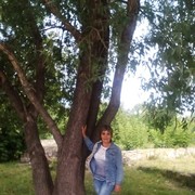 ���������� �������, ������� �����, 65