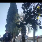 ���������� ������, ���� ������� �������, 41 ���, ������������ ��� ����� � ���������, c�������� ���������