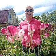 ���������� �����, ���� ������� ������, 68 ���, ������������ ��� ������, ����� � ���������