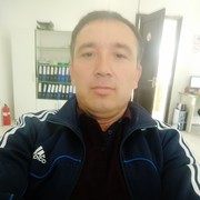  ,  alijon, 43