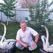 ���������� ������, ���� ������� �������, 54 ����, ������������ ��� ������, ����� � ���������