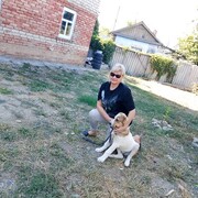  --,   , 53 ,   ,   , 