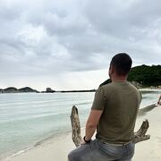 ���������� �����������, ���� ������� ���������, 42 ����, ������������ ��� ������, ����� � ���������, c�������� ���������