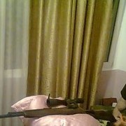  ,   , 48 ,  