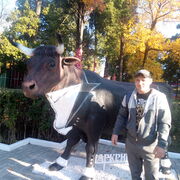 ���������� �����������, ���� ������� �����, 37 ���, ������������ ��� ������, ����� � ���������, c�������� ���������, ���������