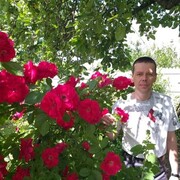  ,   , 46 ,   c 