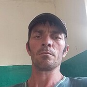  ,   , 38 ,   c 