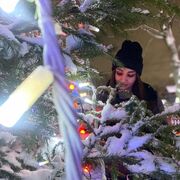 ���������� �����, ���� ������� ��������, 25 ���, ������������ ��� ������, ���������