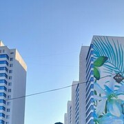 ���������� �����������, ���� ������� �������, 37 ���, ������������ ��� ������, ����� � ���������, c�������� ���������, ���������