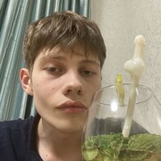 Geiselbach,  , 24