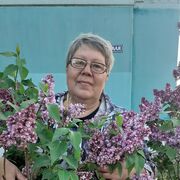 ���������� ����, ���� ������� �������, 56 ���, ������������ ��� ������, ����� � ���������