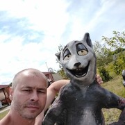  ,  , 43