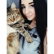  ,   , 28 ,   ,   , c , 