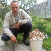  ,   , 59 ,   