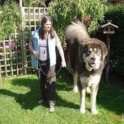  Ramat HaSharon,  , 55