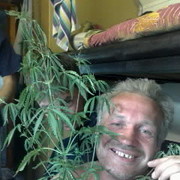 ,   , 60 ,   