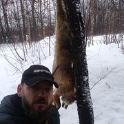 ���������� ������, ���� ������� �����, 43 ����, ������������ ��� ������, ����� � ���������, c�������� ���������