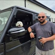 ���������� ����, ���� ������� �������, 38 ���, ������������ ��� ����� � ���������, c�������� ���������