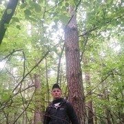 ���������� ������, ���� ������� ������, 42 ����, ������������ ��� ������, ����� � ���������, c�������� ���������