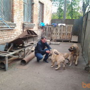  ,   Assa, 47 ,   