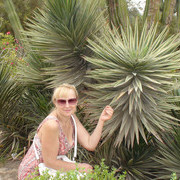 ���������� �������, ���� ������� �������, 64 ����, ������������ ��� ����� � ���������, c�������� ���������