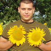 ���������� ��������-������������, ������� ����������, 41