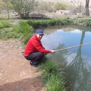 ���������� ������, ���� ������� ����, 45 ���, ������������ ��� ������, ����� � ���������