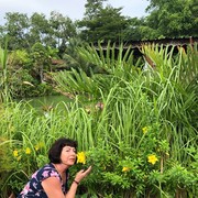  ,   , 68 ,   ,   , c 