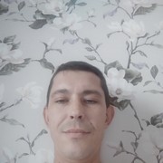  ,  , 43