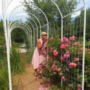 ���������� ������-���������, ���� ������� �������, 47 ���, ������������ ��� c�������� ���������