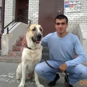 ���������� ������, ���� ������� DIMKA, 37 ���, ������������ ��� ������, ����� � ���������, c�������� ���������