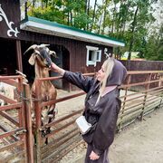 ���������� �������, ���� ������� �����, 33 ����, ������������ ��� c�������� ���������, ���������