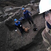 ���������� �����������, ���� ������� �������, 30 ���, ������������ ��� ������, ����� � ���������