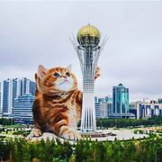 ,   Doston, 29 ,   ,   