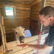 ���������� �����-���������, ���� ������� ����, 30 ���, ������������ ��� ������, ����� � ���������, c�������� ���������