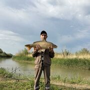 ���������� ���������, ������� ����, 33