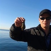  ,   Vladimir, 37 ,   ,   , c 