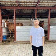  ,   , 25 ,   ,   