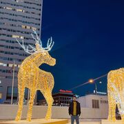 ���������� ��������, ���� ������� Murat, 30 ���, ������������ ��� ������, ����� � ���������