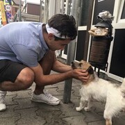  ,   , 26 ,  