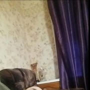 ���������� ������, ���� ������� LION, 42 ����, ������������ ��� ������, ����� � ���������, c�������� ���������